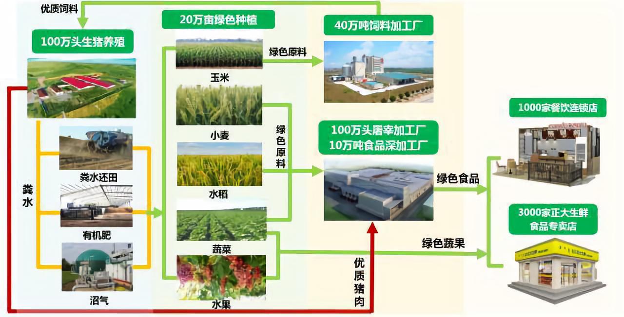 21世紀(jì)農(nóng)業(yè)“接地氣”新篇章 種養(yǎng)結(jié)合模式的價值與商業(yè)機(jī)遇
